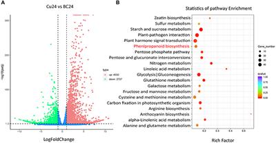 Iris domestica (iso)flavone 7- and 3′-O-Glycosyltransferases Can Be Induced by CuCl2